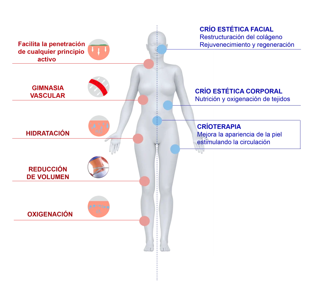 Diagrama del cuerpo humano que muestra los beneficios de la crioterapia estética con Crio Therapy C, incluyendo hidratación, oxigenación, reducción de volumen y estimulación de la circulación.