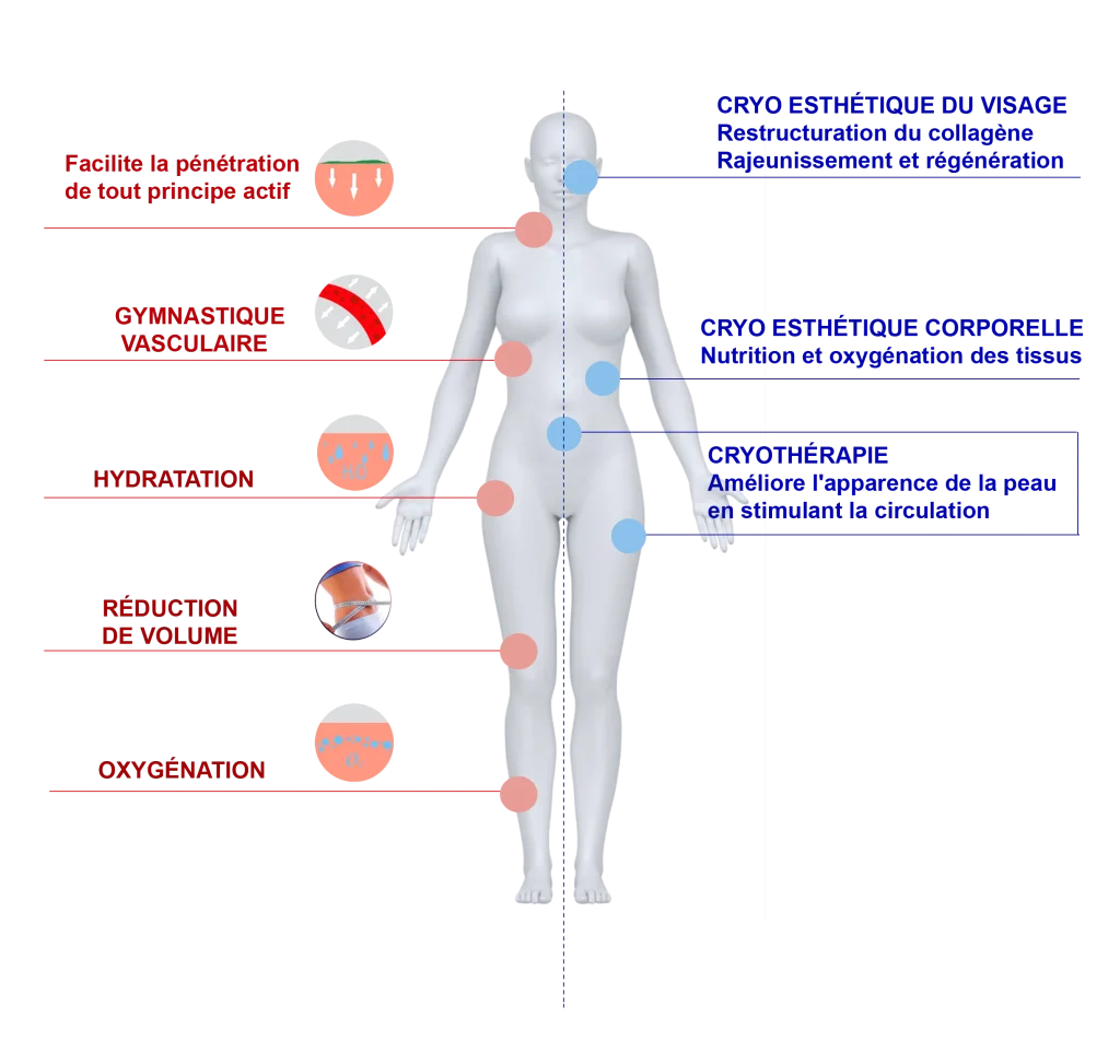 Schéma du corps humain illustrant les bienfaits de la cryothérapie esthétique avec Crio Therapy C, notamment l'hydratation, l'oxygénation, la réduction du volume et la stimulation de la circulation.