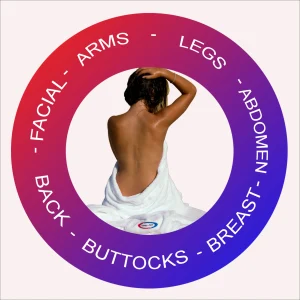 Body areas treatable with aesthetic equipment: face, arms, legs, abdomen, chest, buttocks and back.